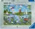 Ravensburger Küstenlandschaft (12001716)