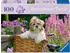 Ravensburger Süßer kleiner Hund (12001731)