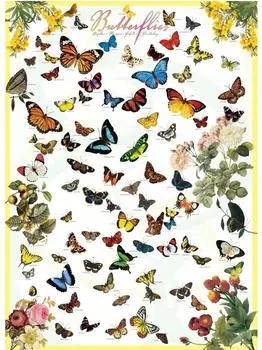 Eurographics Butterflies (6000-0077)