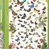 Eurographics Butterflies (6000-0077)