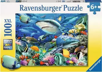 Ravensburger Riff der Haie