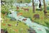 Schmidt Spiele Wald- und Wiesentiere (56581)