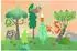 HABA 6 erste Puzzles Waldtiere (2012185001)