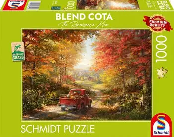 Schmidt Spiele Blend Cota Zur&uuml;ck nach Hause (58640)