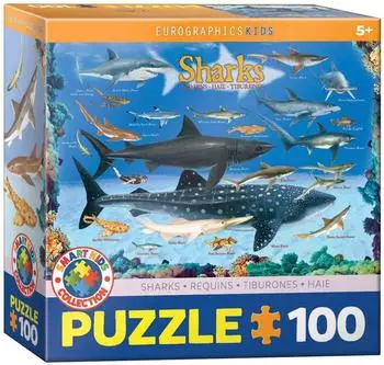 Eurographics Sharks (6100-0079)