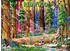 Ravensburger Redwood Nationalpark (12001889)