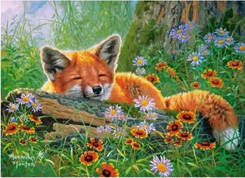 Castorland Foxy Dreams (B-111244)