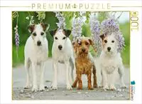 Vier Freunde (Puzzle) - Neuware