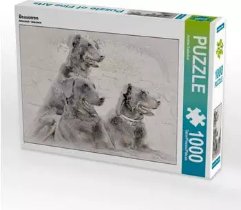 Calvendo Beauceron