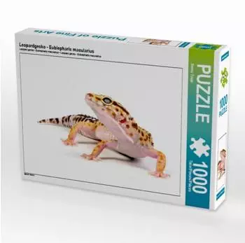 Calvendo Leopardgecko - Eublepharis macularius
