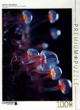Calvendo Quallentanz - Mikroorganismen