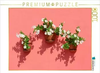 Calvendo Blumen und Schatten