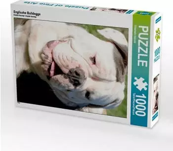 Calvendo Englische Bulldogge