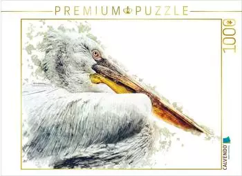 Calvendo Pelikan
