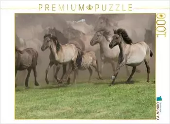 Calvendo Wildpferde beim Einlauf in die Arena