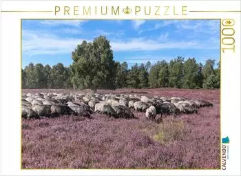 Calvendo Heidschnuckenherde im Naturpark H&ouml;pen bei Schneverdingen