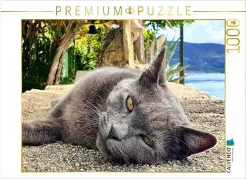Calvendo Katzenportrait auf der Insel Cres in Kroatien