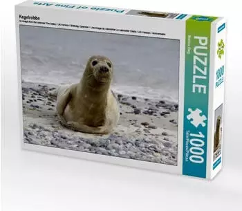 Calvendo Kegelrobbe