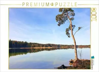 Calvendo Akzeptanz statt Widerstand - Baum an den Osterseen