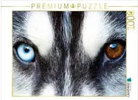 Puzzle &middot; Huskyaugen | Spiegel der Seele &middot; 1000 Teile &middot; Lege-Gr&ouml;&szlig;e 64 &times; 48...