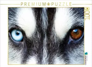 Calvendo Huskyaugen