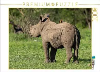 Calvendo Kleines Breitmaulnashorn mit Madenhacker in S&uuml;dafrika