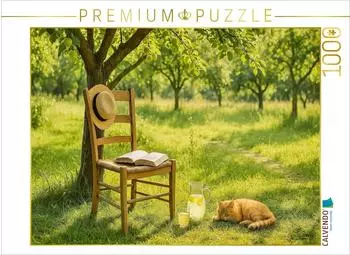 Calvendo Lesepause im Sommerlicht