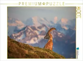 Calvendo Alpensteinbock