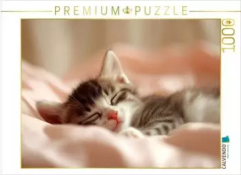 Calvendo Schlafendes Katzenbaby