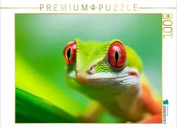 Calvendo Gecko Portrait