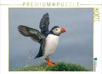 Calvendo Puffin