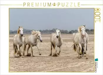 Calvendo Ein Motiv aus dem Kalender Die wilden Pferde der Camargue
