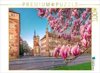 Calvendo Magnolienbl&uuml;te in Stuttgart und die Stiftskirche
