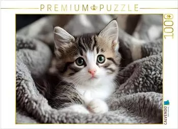 Calvendo S&uuml;sse kleine Babykatze