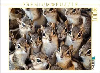 Calvendo Streifenh&ouml;rnchen Kuschelhaufen