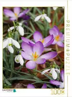 Puzzle &middot; Schneegl&ouml;ckchen und Krokusse | Fr&uuml;hlingsboten im Garten &middot; 1000...