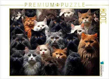 Calvendo Viele Katzen auf einem Bild