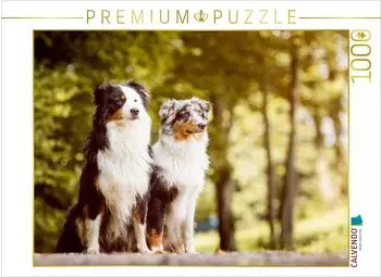 Calvendo Ein Motiv aus dem Kalender Australian Shepherds Kalender 2017