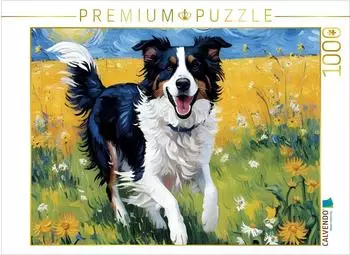 Calvendo Border Collie