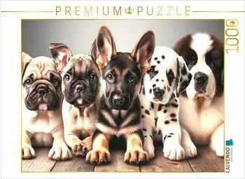 Calvendo F&uuml;nf freche Fellnasen in bezaubernder Eintracht - Ein Motiv aus dem Kalender Hundewelpen zum Verlieben