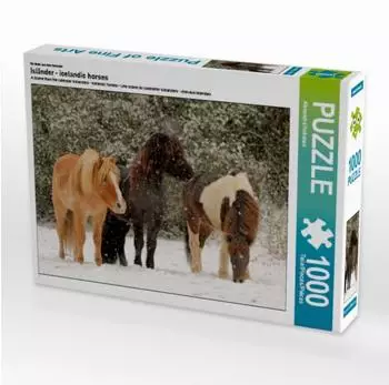 Calvendo Ein Motiv aus dem Kalender Isl&auml;nder - icelandic horses