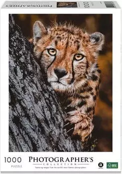 Ambassador Photographers Collection Gepard (30783)