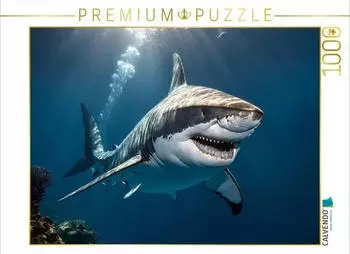 Calvendo Gro&szlig;hai (Megalodon)
