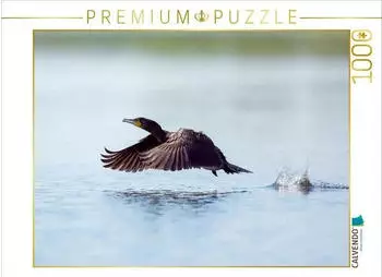 Calvendo Kormoran