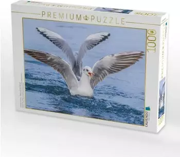 Calvendo Perfekte Landung - Eleganz auf dem Wasser!