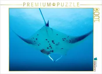 Calvendo Mantarochen im Anflug