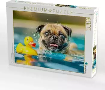 Calvendo Mops planscht im Pool mit Ente
