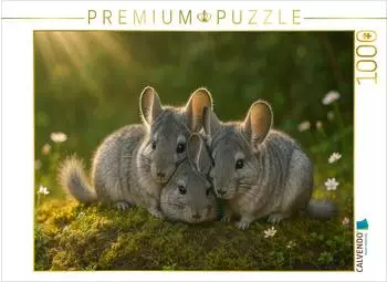 Calvendo Kuschelstunde - drei Chinchillas