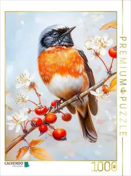 Calvendo Einheimischer Singvogel Gartenrotschwanz Malerei