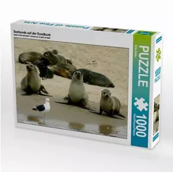 Calvendo Seehunde auf der Sandbank